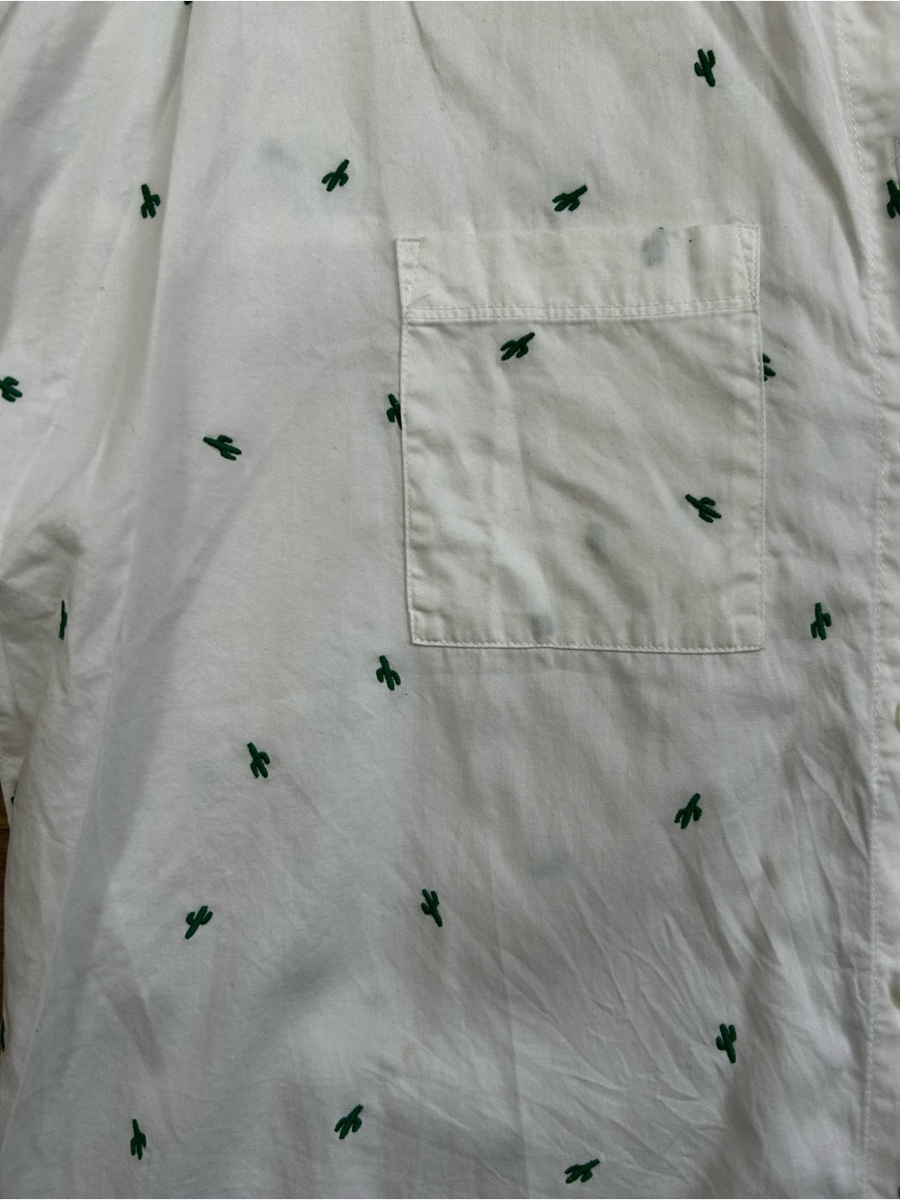 Boxy Madewell White Short-Sleeve Button-Down with Green Cactus Embroidery - Picture 6 of 8